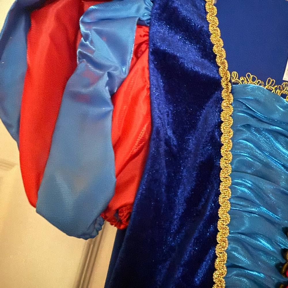 Disney Adult Snow White Halloween Costume - Picture 4 of 6